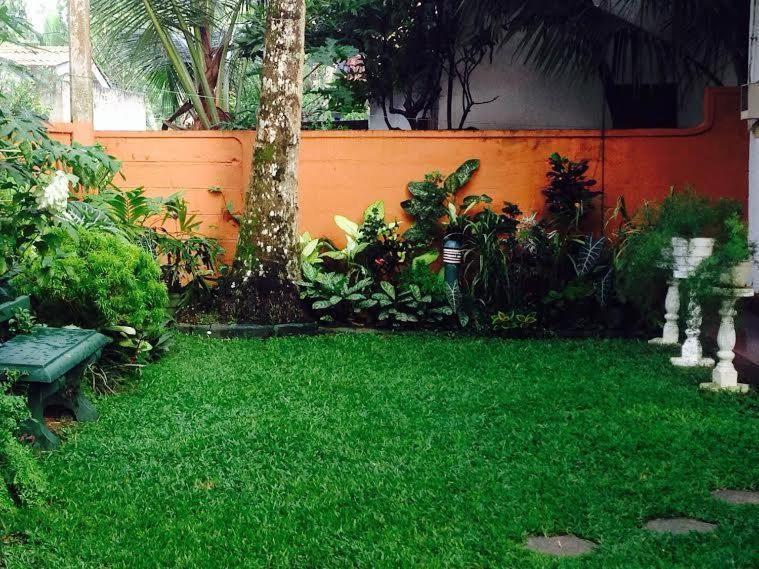 Holiday Nest Bed & Breakfast Wadduwa Extérieur photo